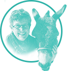 Lisa Crispin Portrait lisa-crispin-founder-of-agile-testing-fellowship-and-agile-testing-pionneer-and-speaker