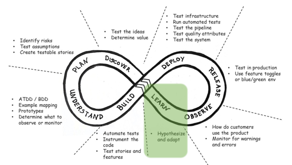 Large learning focus holistic model